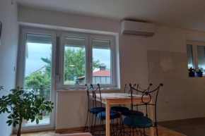Apartman Stižanka